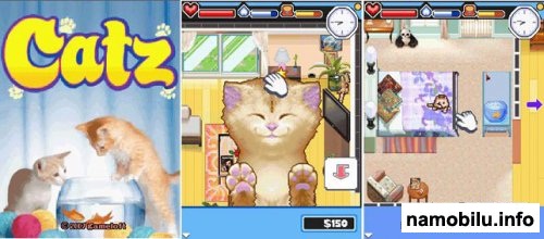 �������� ������ / Cats